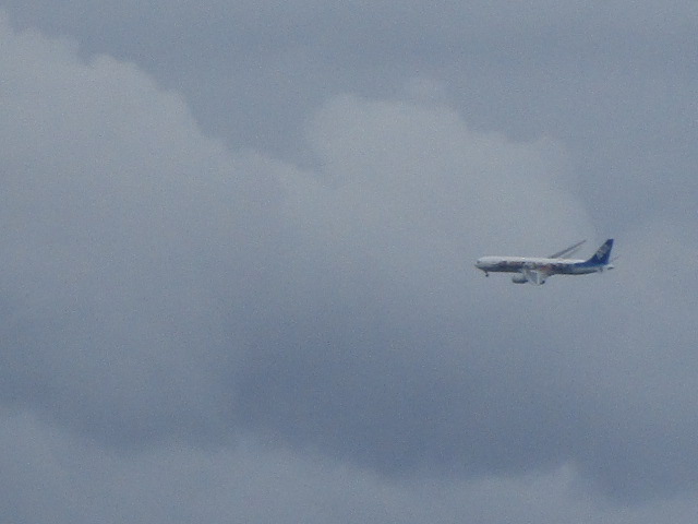 20230920_155441.JPG