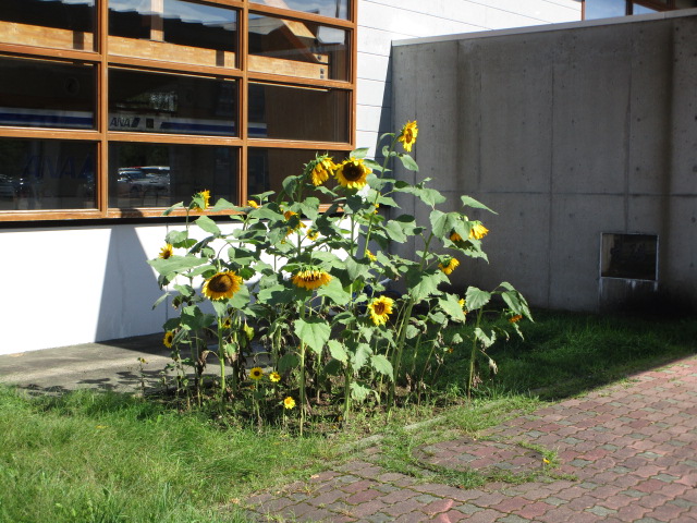 20230924_102446.JPG