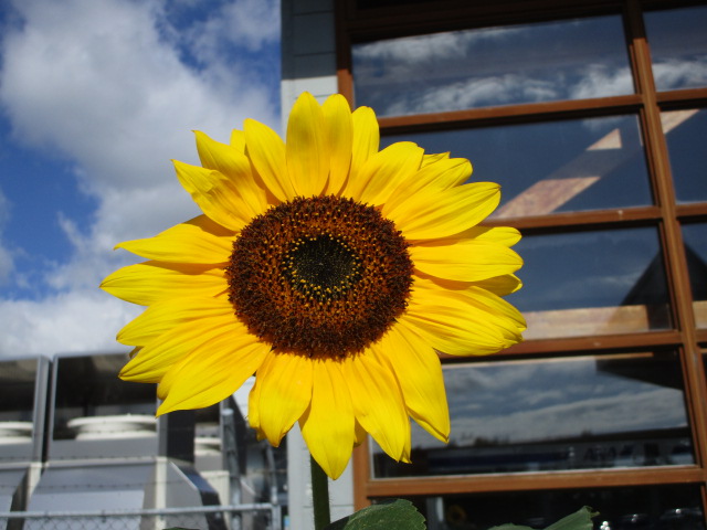 20230924_102550.JPG