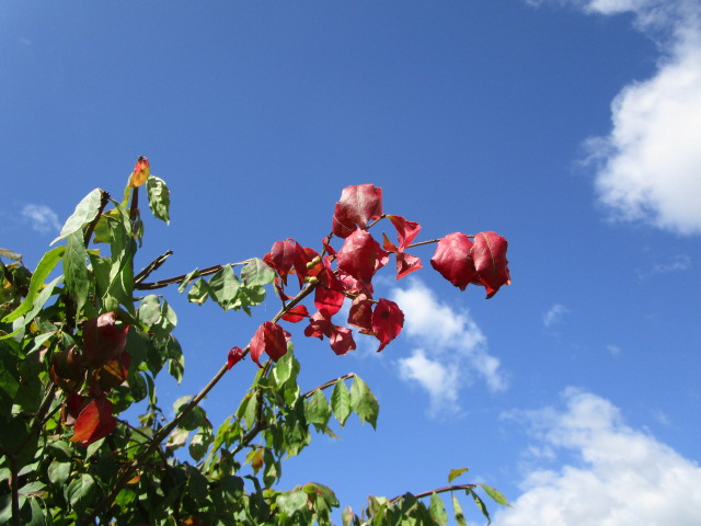 20230924_102712.JPG