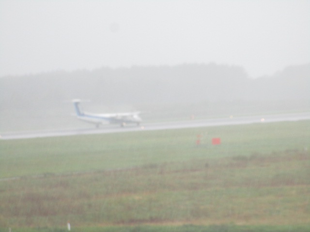20231001_090631.JPG