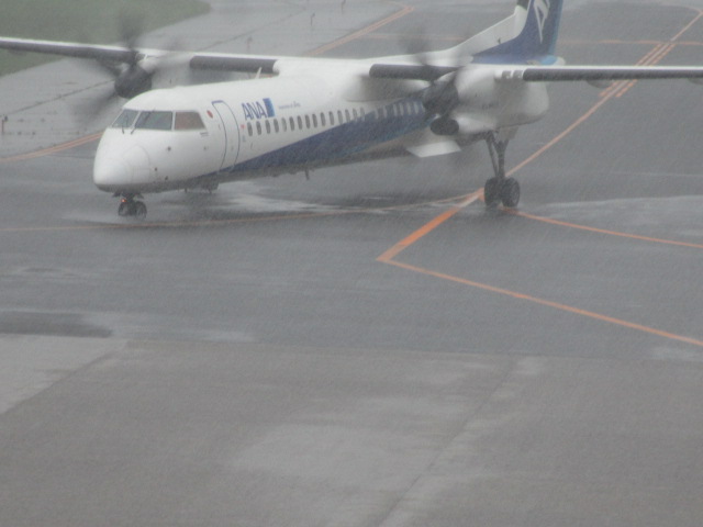20231001_090757.JPG