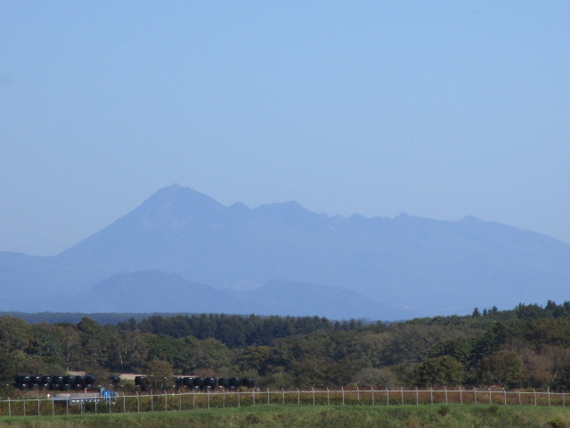 20231013_110002.JPG