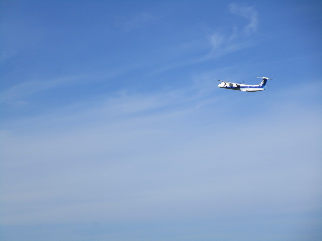 20231014_094615.JPG