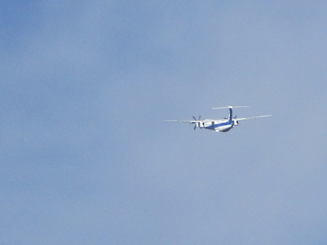 20231014_095236.JPG