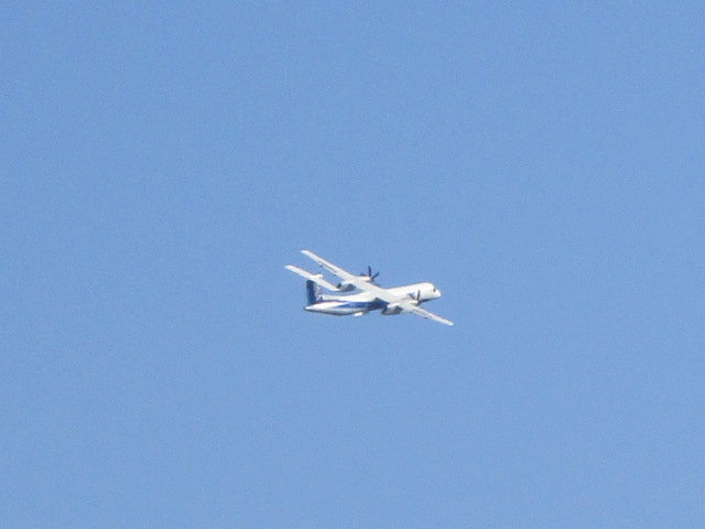 20231015_094830.JPG