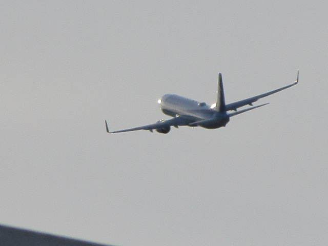 20231018_151030.JPG