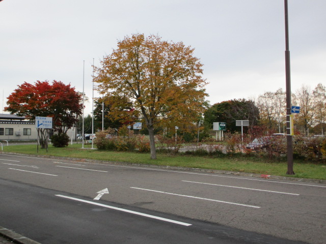20231019_101153.JPG