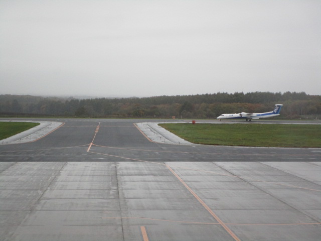 20231020_094653.JPG