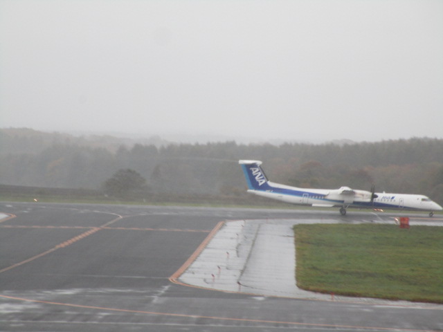 20231020_094909.JPG