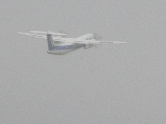 20231020_094954.JPG