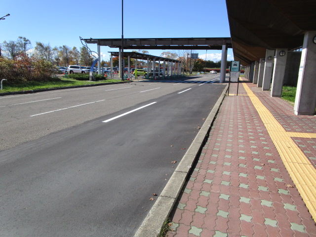 20231021_101019.JPG