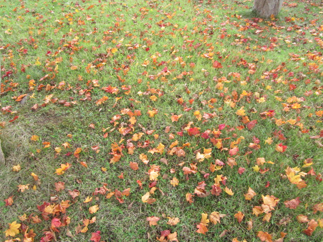 20231030_100055.JPG