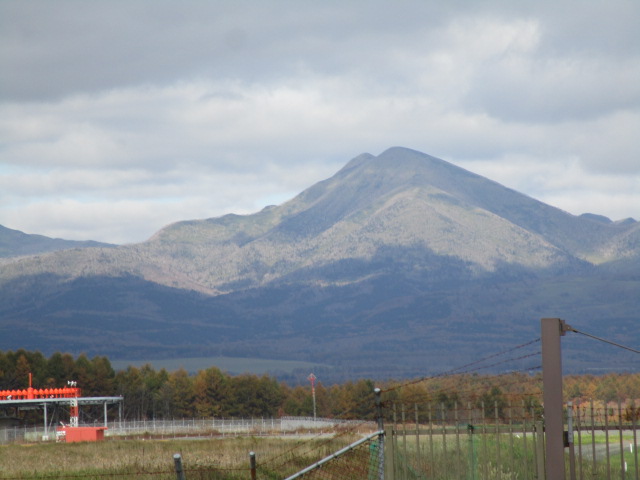 20231030_100146.JPG