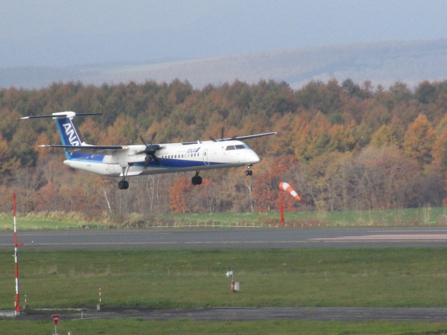 20231031_094230.JPG
