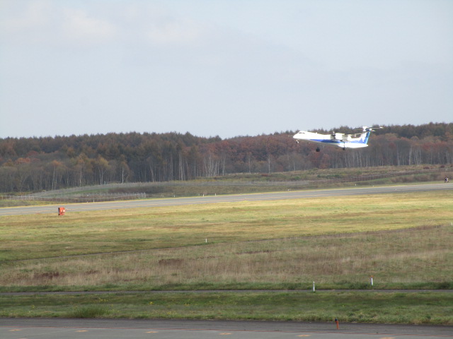 20231031_094433.JPG