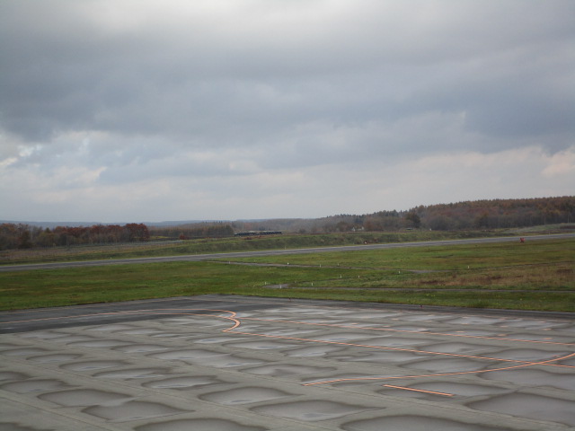 20231102_093527.JPG