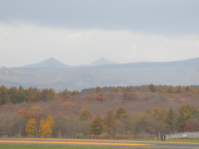 20231102_093611.JPG