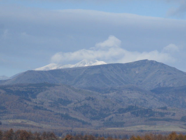 20231115_094717.JPG