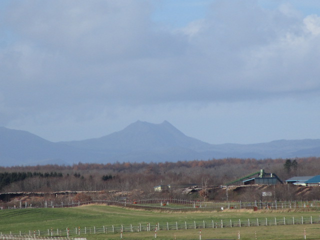 20231118_104317.JPG