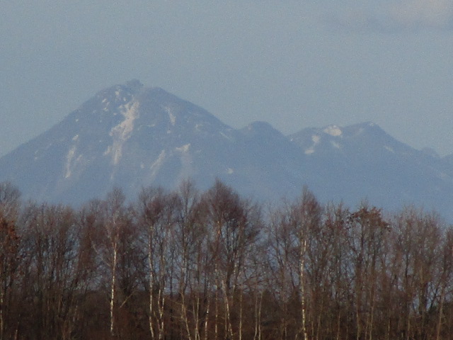 20231118_154543.JPG