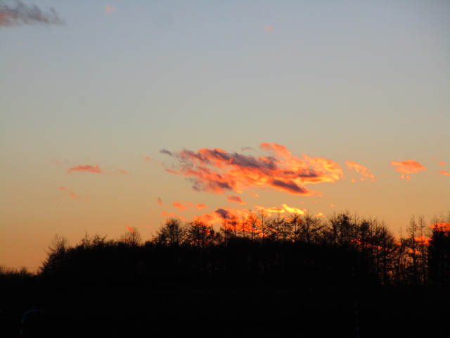 20231119_160911.JPG