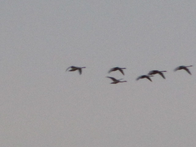 20231119_161605.JPG