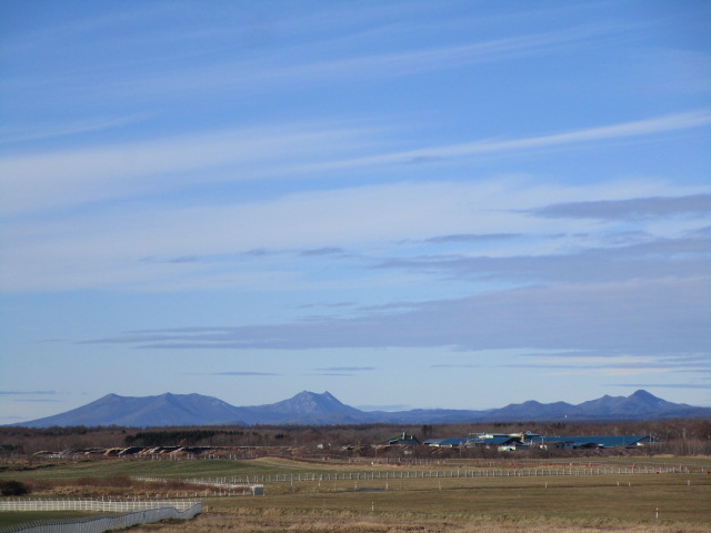 20231203_100157.JPG