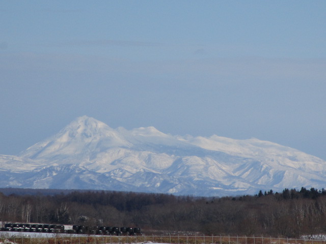 20240109_103541.JPG