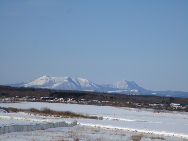 20240109_103718.JPG