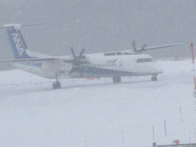 20240122_103729.JPG