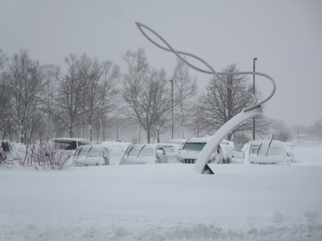 20240123_160336.JPG