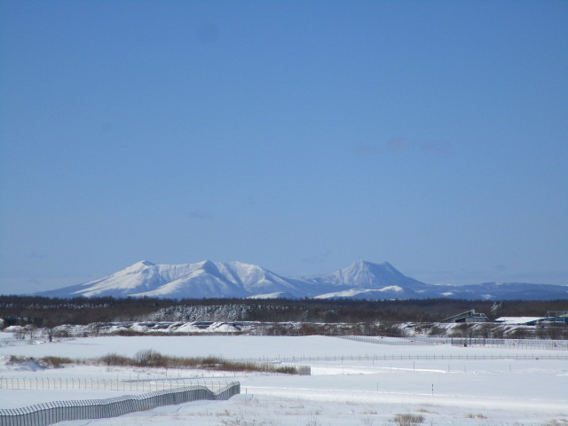 20240124_131403.JPG