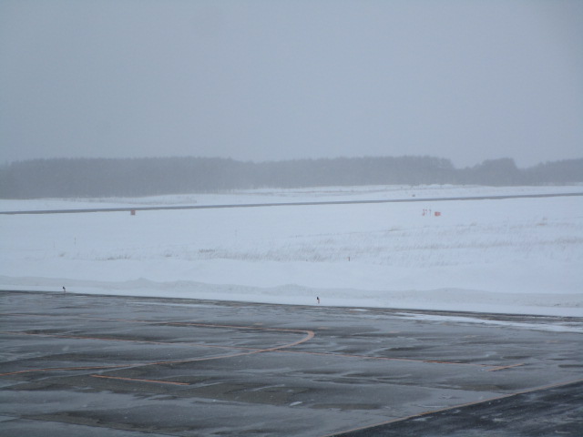 20240126_122114.JPG