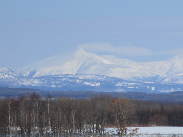 20240209_102248.JPG