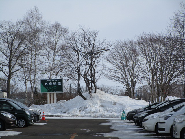 20240212_100905.JPG