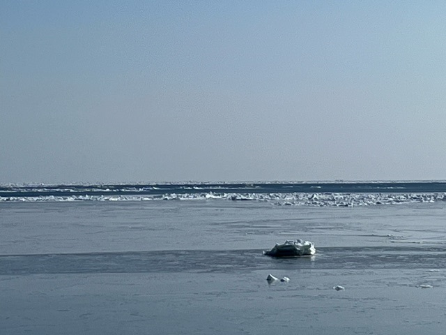 20240213_150610.jpg