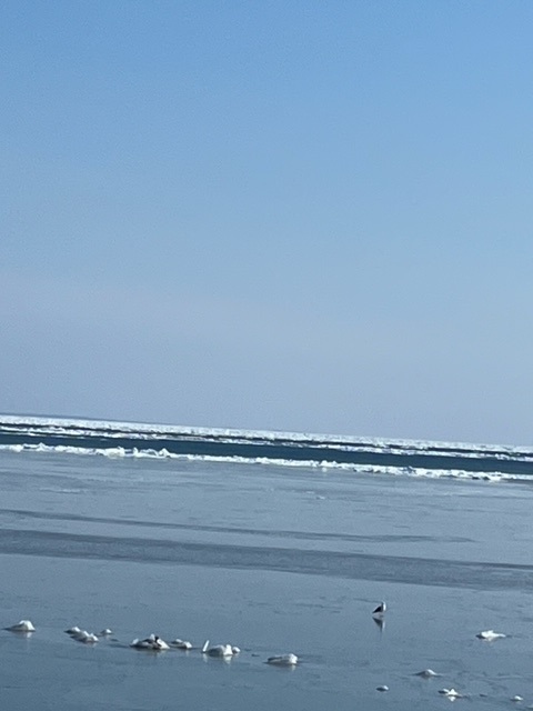 20240213_150851.jpg