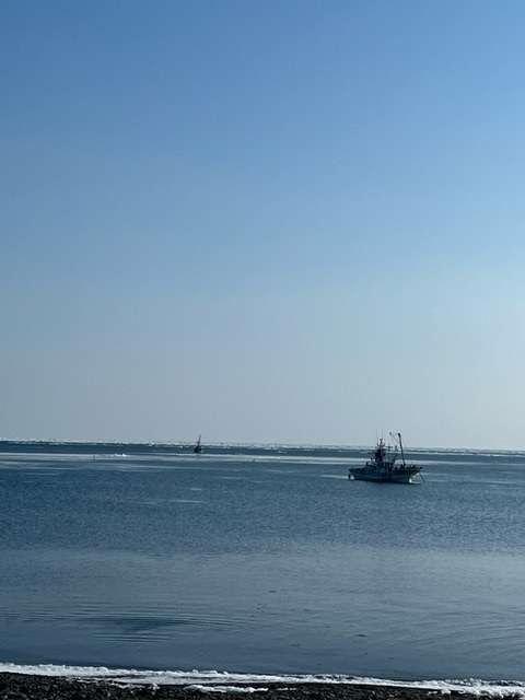 20240213_150927.jpg