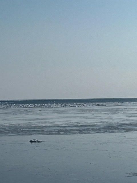 20240213_150948.jpg