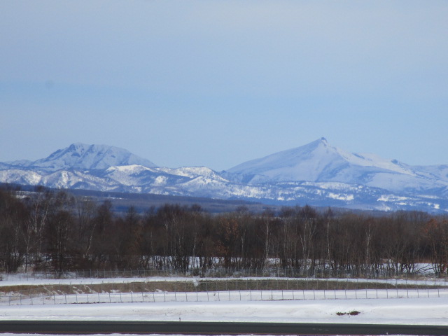 20240219_095321.JPG
