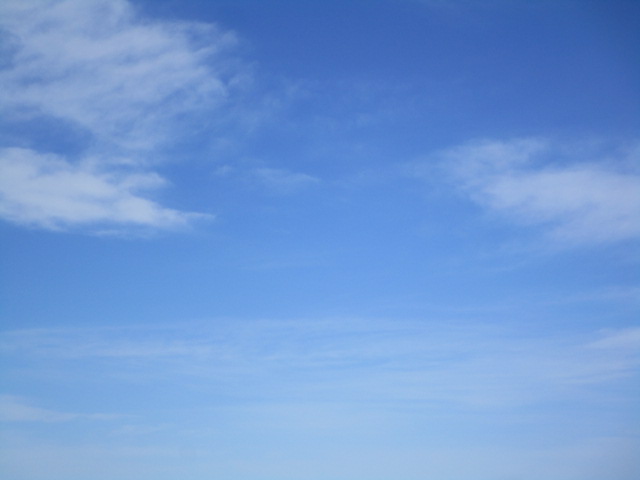20240219_112308.JPG