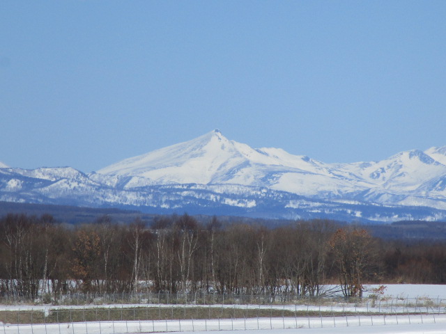 20240219_112332.JPG