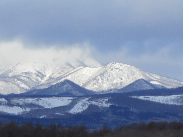 20240220_094432.JPG