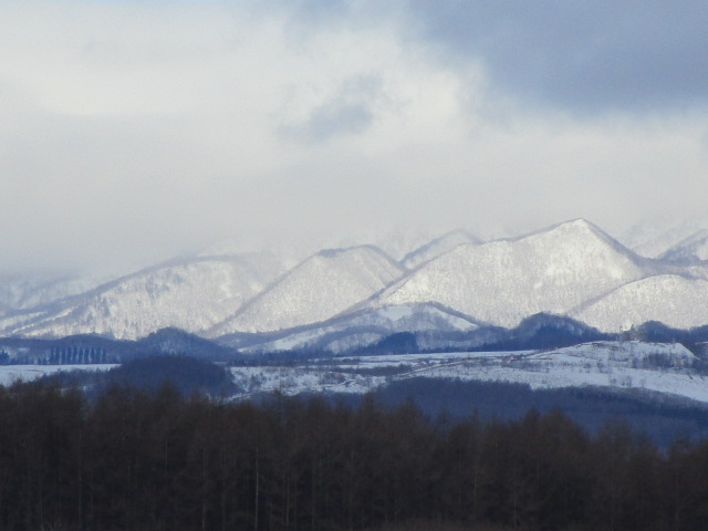 20240220_094607.JPG