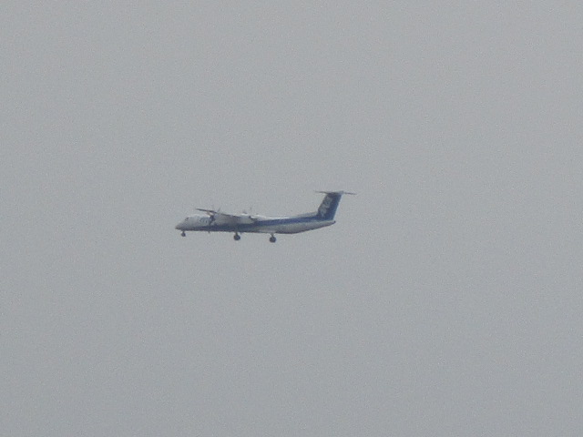 20240412_094921.JPG