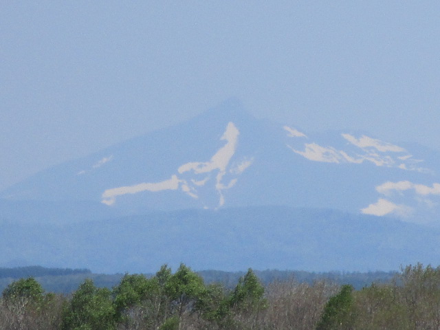 20240522_095843.JPG