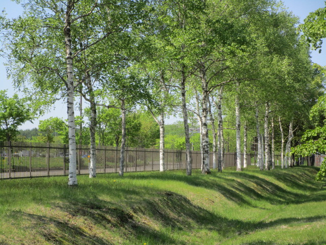 20240522_100057.JPG