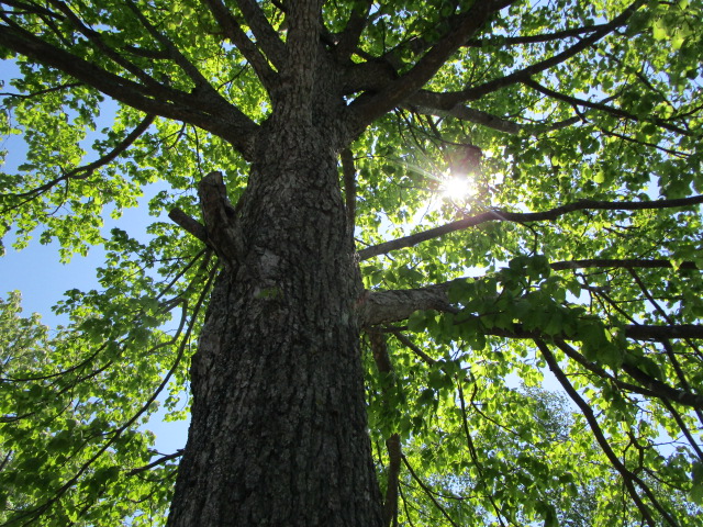 20240522_100123.JPG