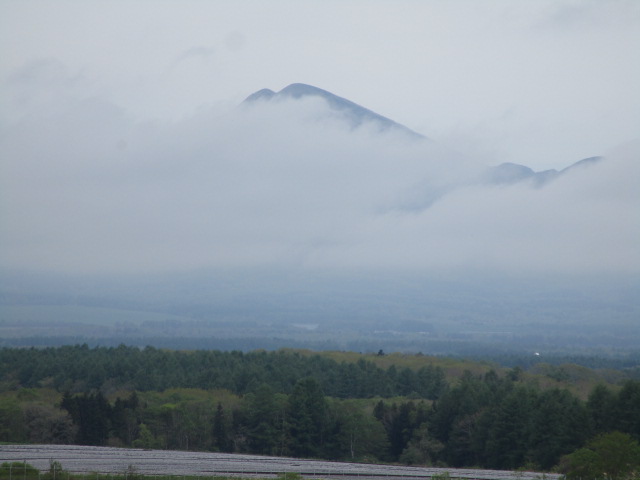 20240528_095019.JPG